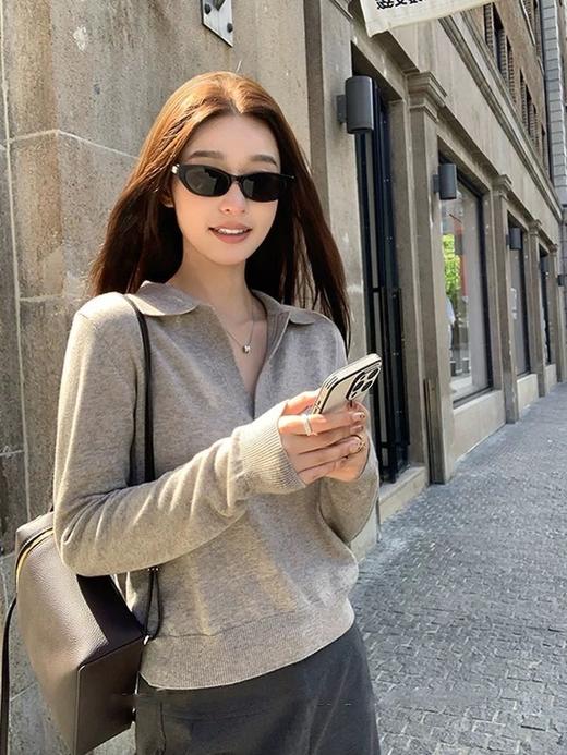 爆款3-5天发货！高智老钱风冬季加厚羊毛毛显瘦Polo领长袖针织衫JS3699124 商品图3