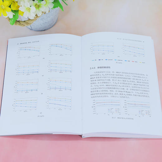 图数据挖掘:算法,安全与应用 商品图2