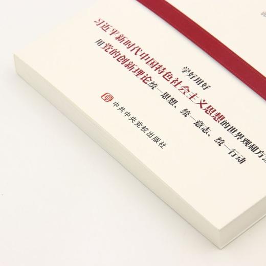 新时代党的创新理论二十讲 商品图2