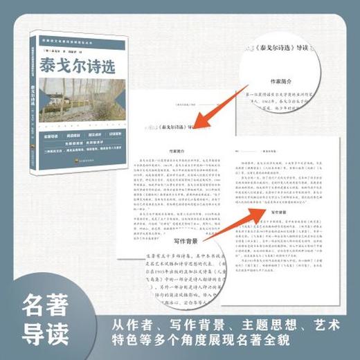 泰戈尔诗选 商品图2