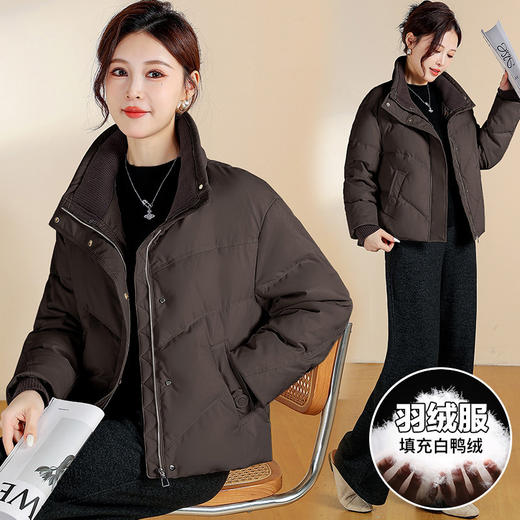 QYM 25D170拼接立领时尚羽绒服休闲洋气显瘦白鸭绒外套 商品图3