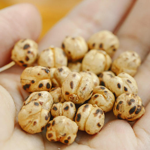 食味的初相 土耳其慢烘鹰嘴豆 100g*3袋【4小包/袋】 商品图4