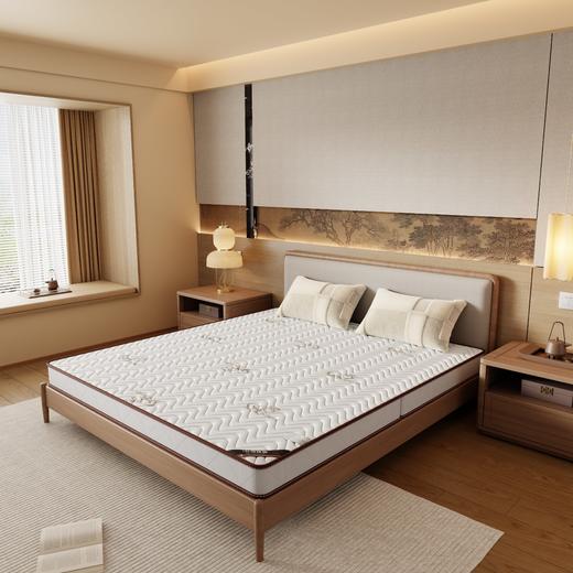 自然醒3E椰棕床垫-Z04 SA 商品图2