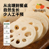 西域美农  陕西合阳九眼莲菜  一藕多吃！凉拌清脆爽口，煲汤粉糯香甜！ 4斤 顺丰发货 商品缩略图3