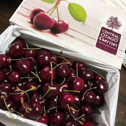 新西兰空运极鲜车厘子！甜度天花板！好吃至极！ 商品图1