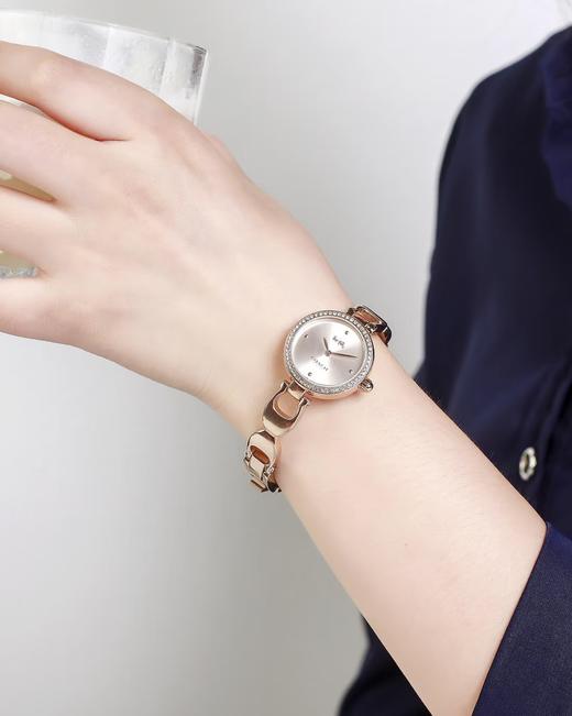 直发【质保一年，无盒】 PARK系列小女表。碗表 商品图3