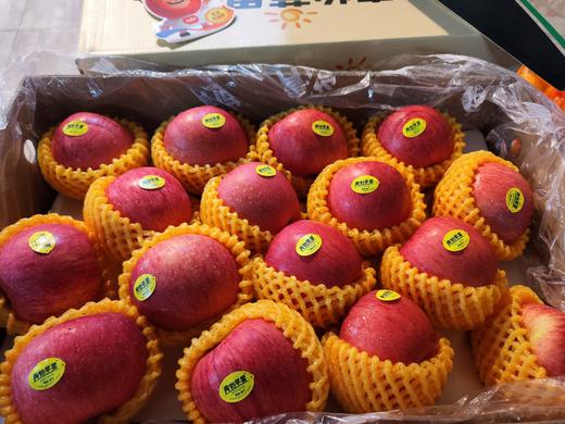 青怡洛川苹果，可以连皮吃的苹果，松脆可口，果香十足（微酸），整件精致外包装 商品图2