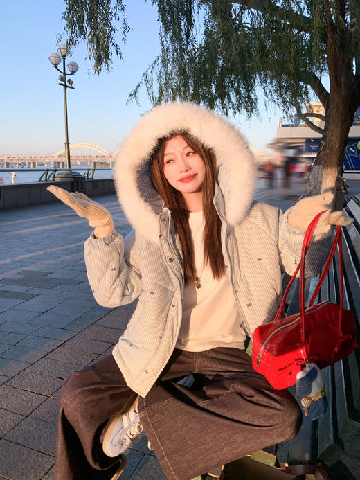 <曾小咸推荐>现货秒杀 ！微信超特价！韩系蓝白条纹连帽棉服 日常389.99 立减220 秒杀169.99！！花灰色绣花长袖t恤植绒 日常169. 秒杀89.99！ 商品图10