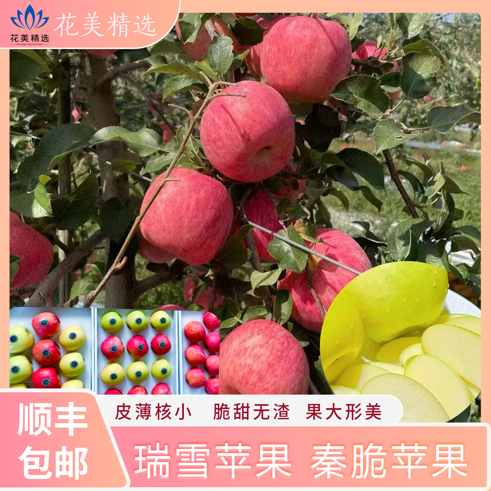 瑞雪苹果，秦脆苹果 快乐和香味加倍，顺丰包邮到家