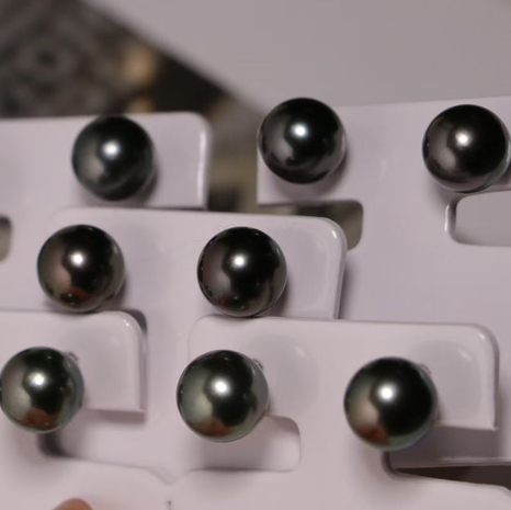 福利 大溪地黑珍珠 气质满满的高性价比能量款 8-9mm 面无暇 侧背面微瑕 强光正圆