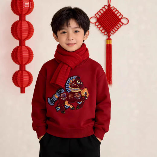 兄妹新年红加厚绒卫衣！2025马年新款高级重工刺绣男宝女宝儿童拜年服！ 商品图2