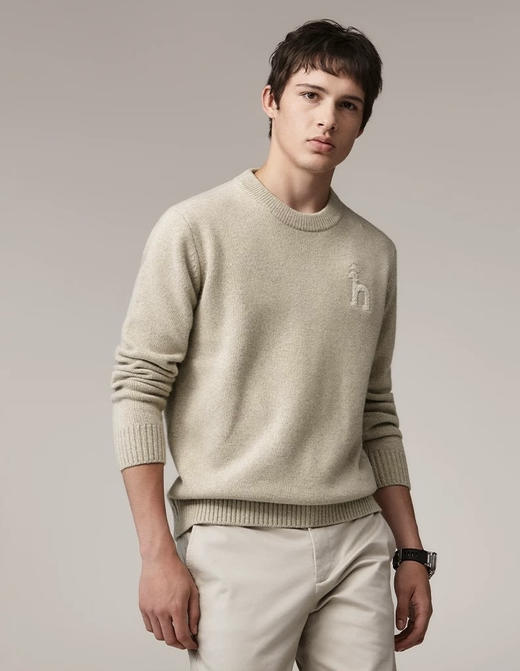 100%重磅绵羊毛H男士保暖精品毛衫 商品图3