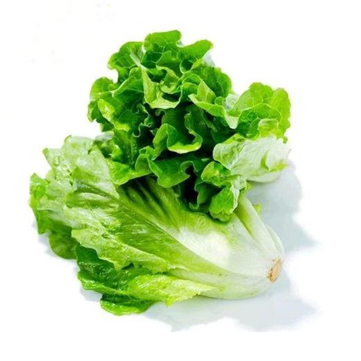 【SF】新鲜生菜 当季现摘生菜 商品图1