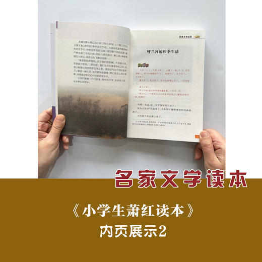 【浙少儿】名家文学读本：小学生萧红读本 商品图1