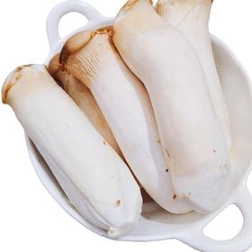 【SF】新鲜杏鲍菇  农家种植肉厚脆嫩 烧烤油炸炒菜皆可
