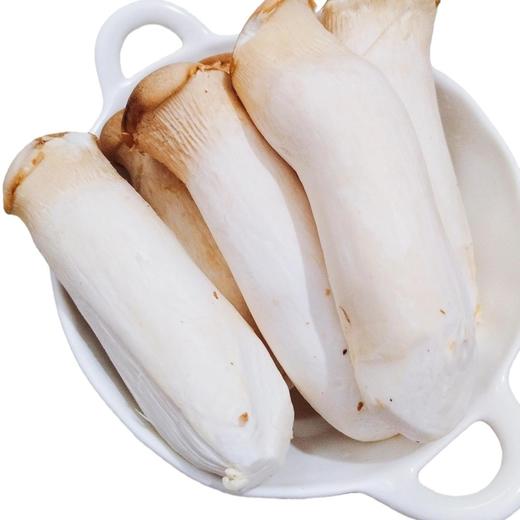 【SF】新鲜杏鲍菇  农家种植肉厚脆嫩 烧烤油炸炒菜皆可 商品图0