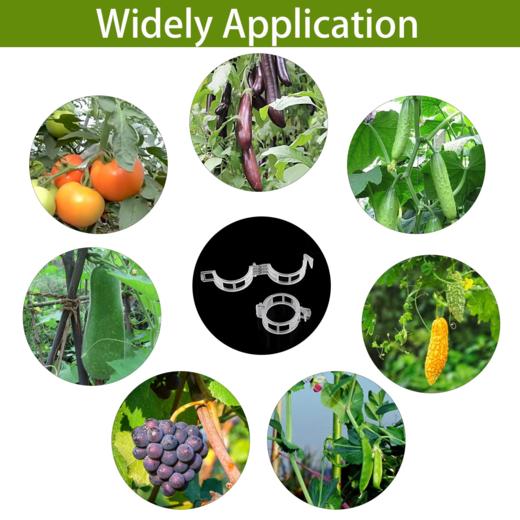 塑料园艺植物固定夹 番茄藤固定夹 攀援植物支撑夹 白色 一袋约100个 商品图7