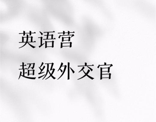 【英语营】超级外交官,模拟联合国,使馆入内教学,双北师资+营地,培养未来领袖|10-17岁 商品图0