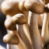蟹味菇 约115g/份 商品缩略图4