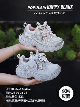 26款 快乐叮当 5662 双网  26-30.31-35