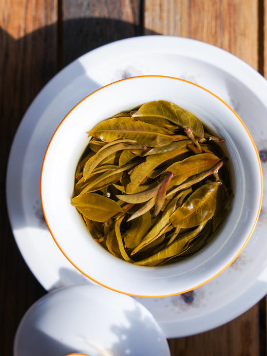 【鸡嘴壳】2025年倚邦古树春茶独特而珍稀的普洱茶佳品云南深山中的“细叶皇后”500克/箱 商品图5