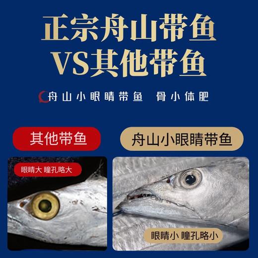 【咏礼记舟山小眼带鱼礼盒】来自北纬30°的一口鲜！全国首批海鲜类地理标志产品，油脂丰富，肉质鲜美。（48-72h发货） 商品图7