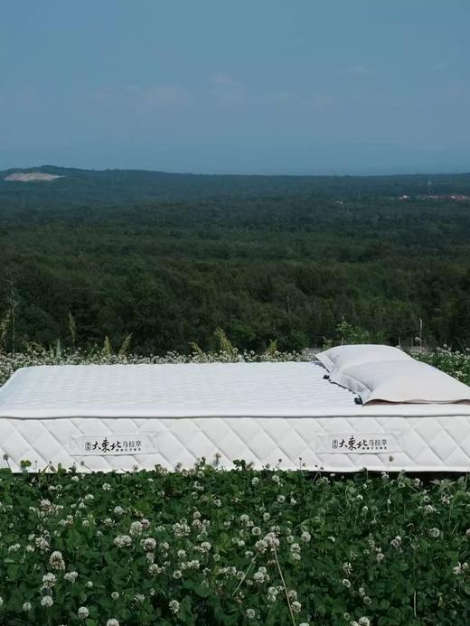 东北三宝 天然乌拉草 床垫 榻榻米定制 商品图1