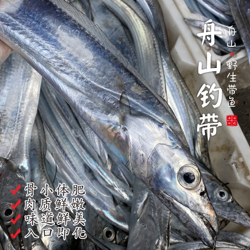【闹妈海鲜】【鲜冻】舟山钓带 各种规格