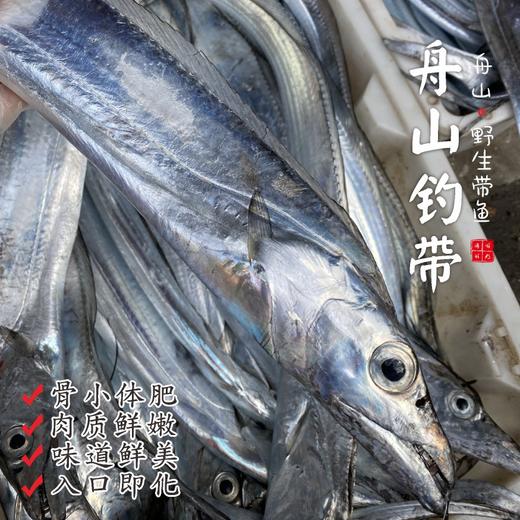 【闹妈海鲜】【鲜冻】舟山钓带 各种规格 商品图0
