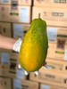 海南红心木瓜 礼盒装整箱6斤左右（约3颗） 商品缩略图3