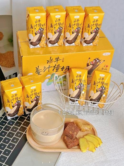💥【左江·水牛姜汁撞奶】广西水牛奶+小黄姜+古法红糖 ❤️ 🌸三重暖意，一口入魂 | 从此“多喝热水”有了高阶替代品 商品图4