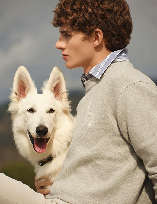 100%重磅绵羊毛H男士保暖精品毛衫 商品图0