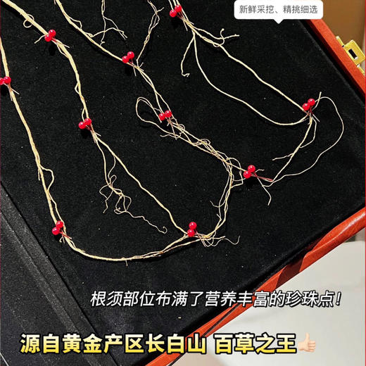 长白山有机林下15年野山参  10克以上/支 商品图3