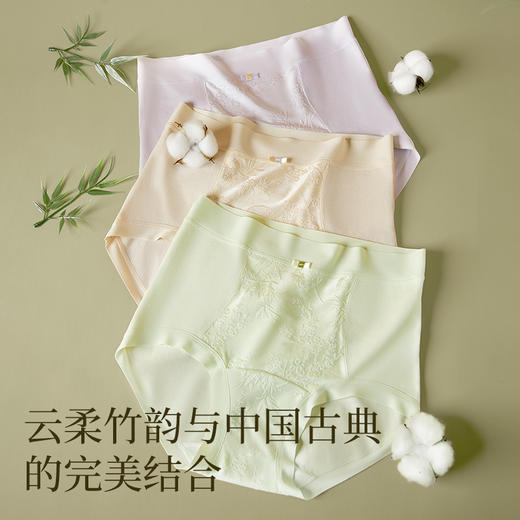 女士长绒棉性感蕾丝中高腰收腹棉内裤三角裤2949 商品图1