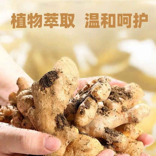 【岁末秒杀】香港老瑶姜植物洗发水-控油去屑防脱发-仅2件 商品图3