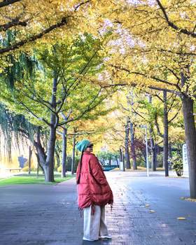 闪照第484期 最淡泊的留白