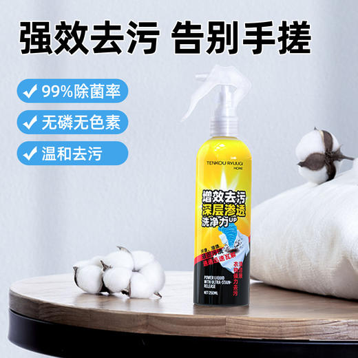 TENKOU RYUUGI HOME3分钟去渍衣物强力去污清洁液250ml 商品图0