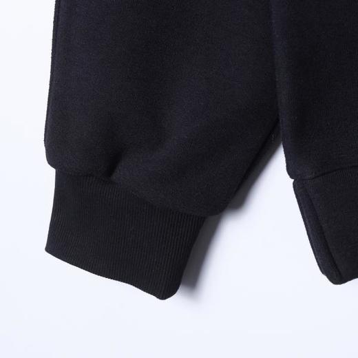 3330SDSA男士秋冬新款痞帅男装美式高街刺绣字母立领卫衣百搭宽松上衣 商品图4