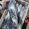 【闹妈海鲜】【鲜冻】舟山钓带 各种规格 商品缩略图2