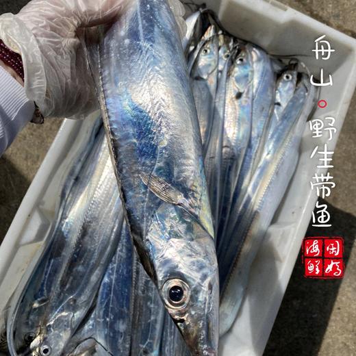 【闹妈海鲜】【鲜冻】舟山钓带 各种规格 商品图2
