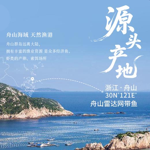 【咏礼记舟山小眼带鱼礼盒】来自北纬30°的一口鲜！全国首批海鲜类地理标志产品，油脂丰富，肉质鲜美。（48-72h发货） 商品图1