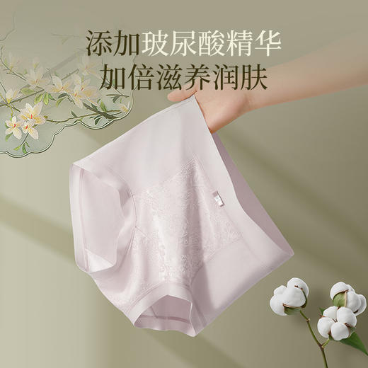 女士长绒棉性感蕾丝中高腰收腹棉内裤三角裤2949 商品图3