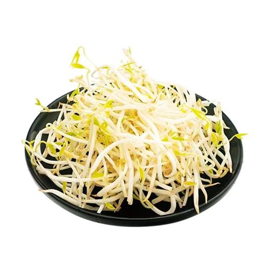 【SF】绿豆芽菜【新鲜直达 清水发泡】 新鲜原生态无添加 商品图0