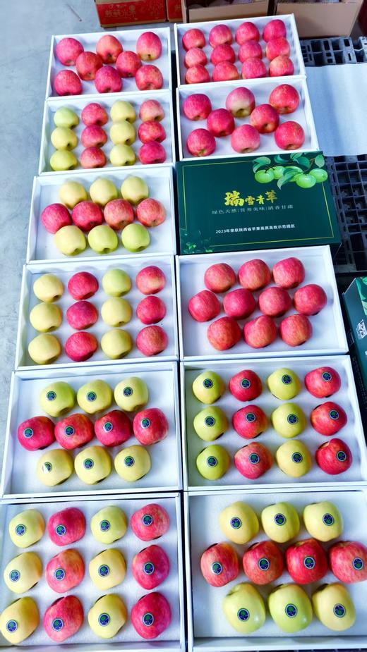 瑞雪苹果，秦脆苹果 快乐和香味加倍，顺丰包邮到家 商品图8