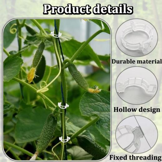 塑料园艺植物固定夹 番茄藤固定夹 攀援植物支撑夹 白色 一袋约100个 商品图4