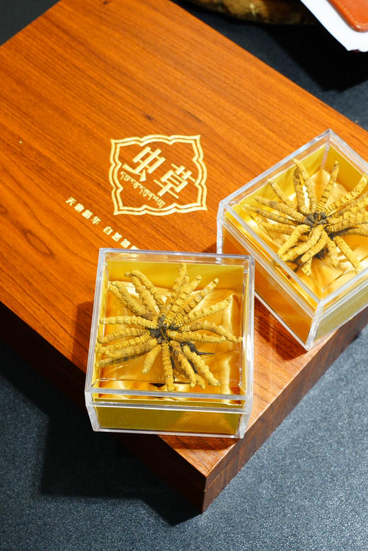 虫草10克礼盒装 商品图1