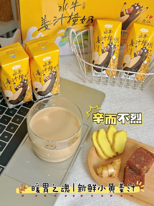 💥【左江·水牛姜汁撞奶】广西水牛奶+小黄姜+古法红糖 ❤️ 🌸三重暖意，一口入魂 | 从此“多喝热水”有了高阶替代品 商品图3