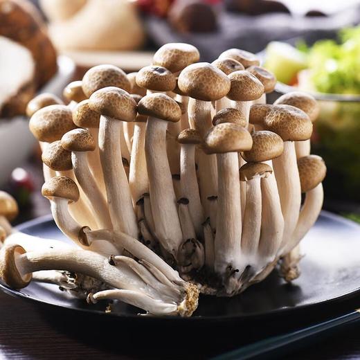 蟹味菇 约115g/份 商品图0