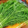 【SF】新鲜茴香 包饺子神菜 鲜香无比 商品缩略图2