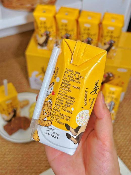 💥【左江·水牛姜汁撞奶】广西水牛奶+小黄姜+古法红糖 ❤️ 🌸三重暖意，一口入魂 | 从此“多喝热水”有了高阶替代品 商品图5